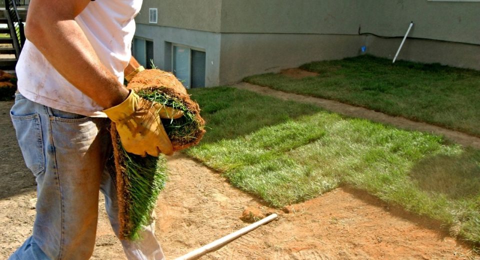 How to Start a Landscaping Business